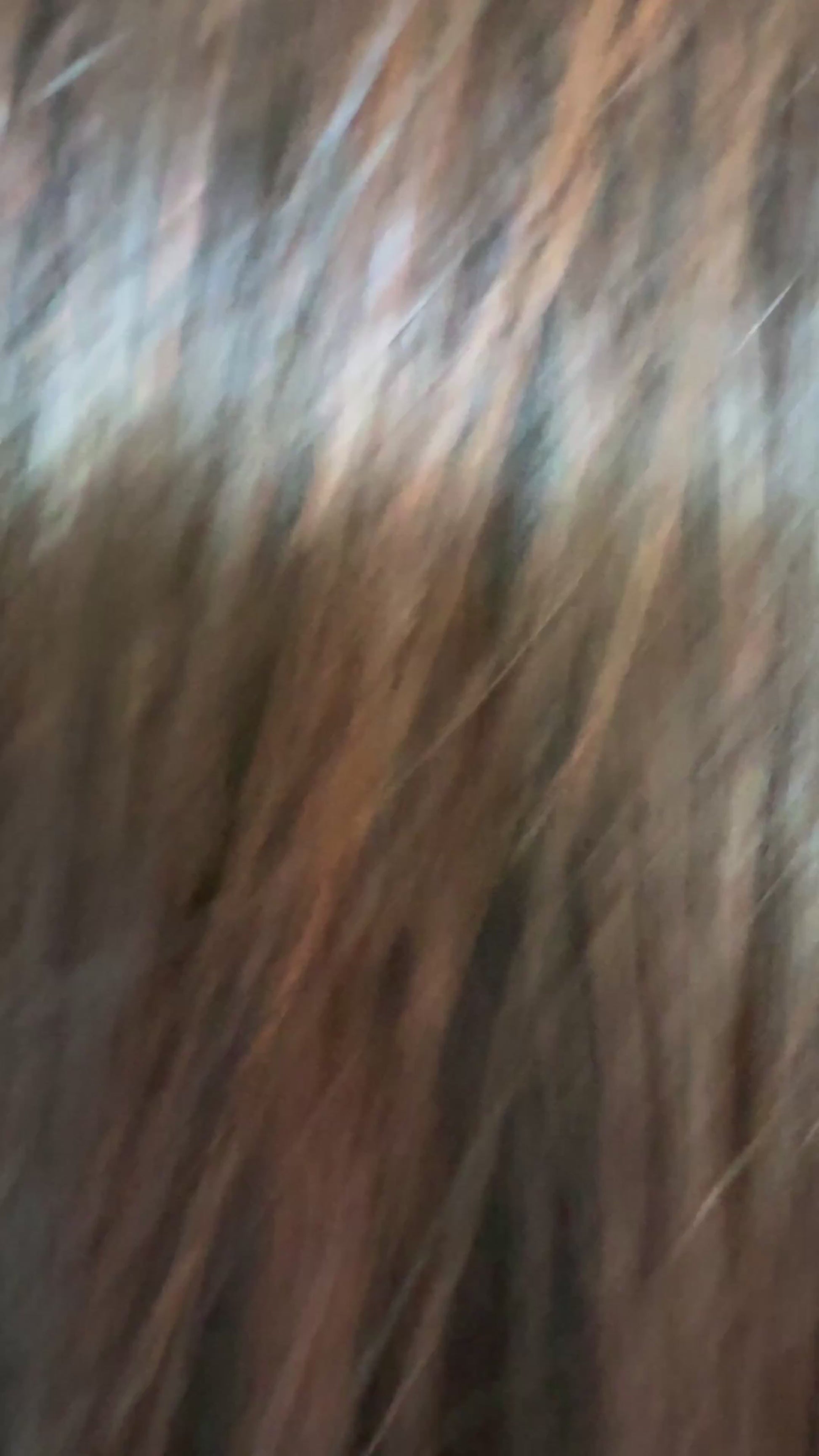 colour: mayze 18 inch darkest brunette with burgundy highlights. thick fringe wig, lacefront, brazilian remy hair.