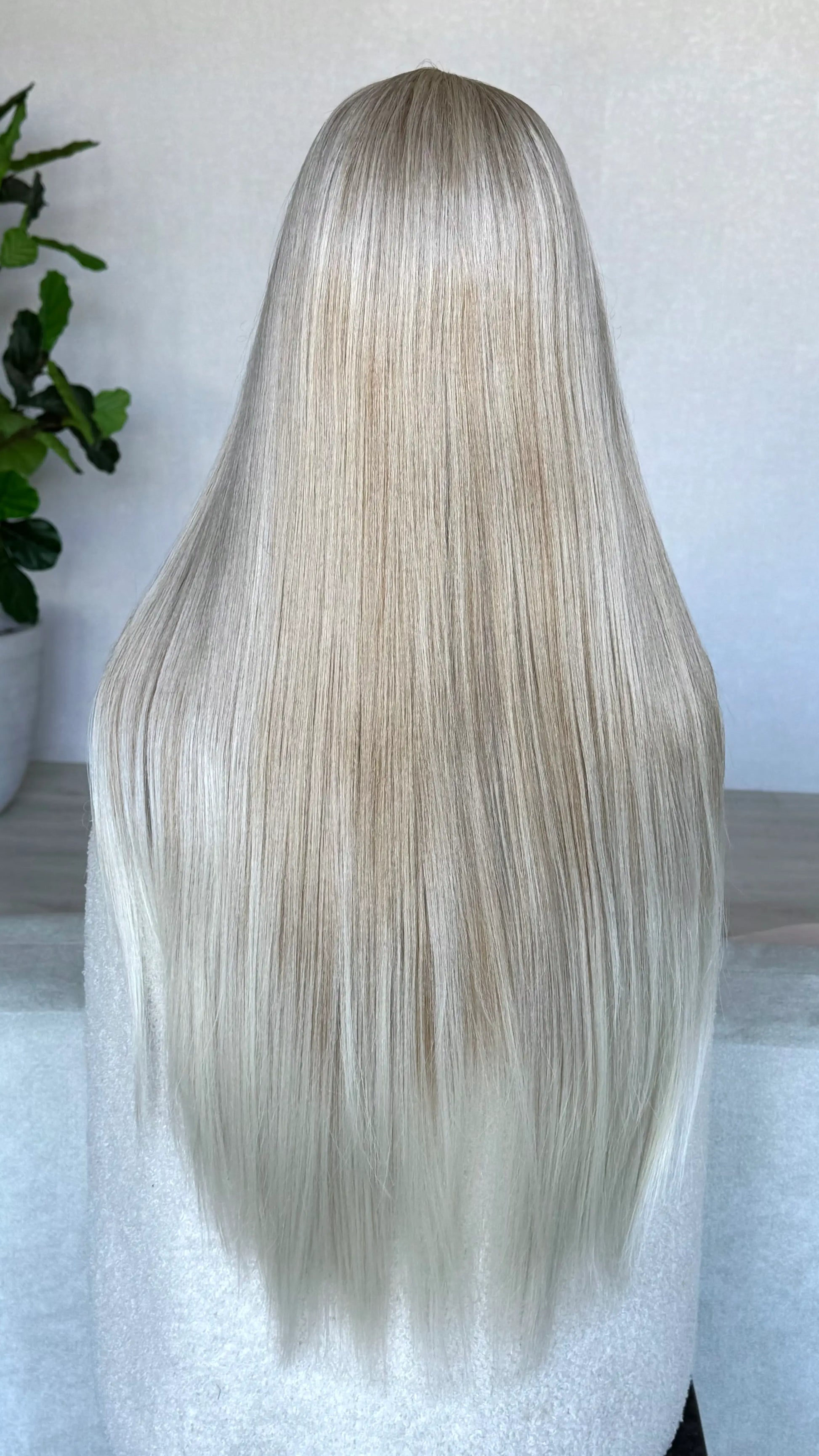 blonde lacefront wig from the back, long straight hair.