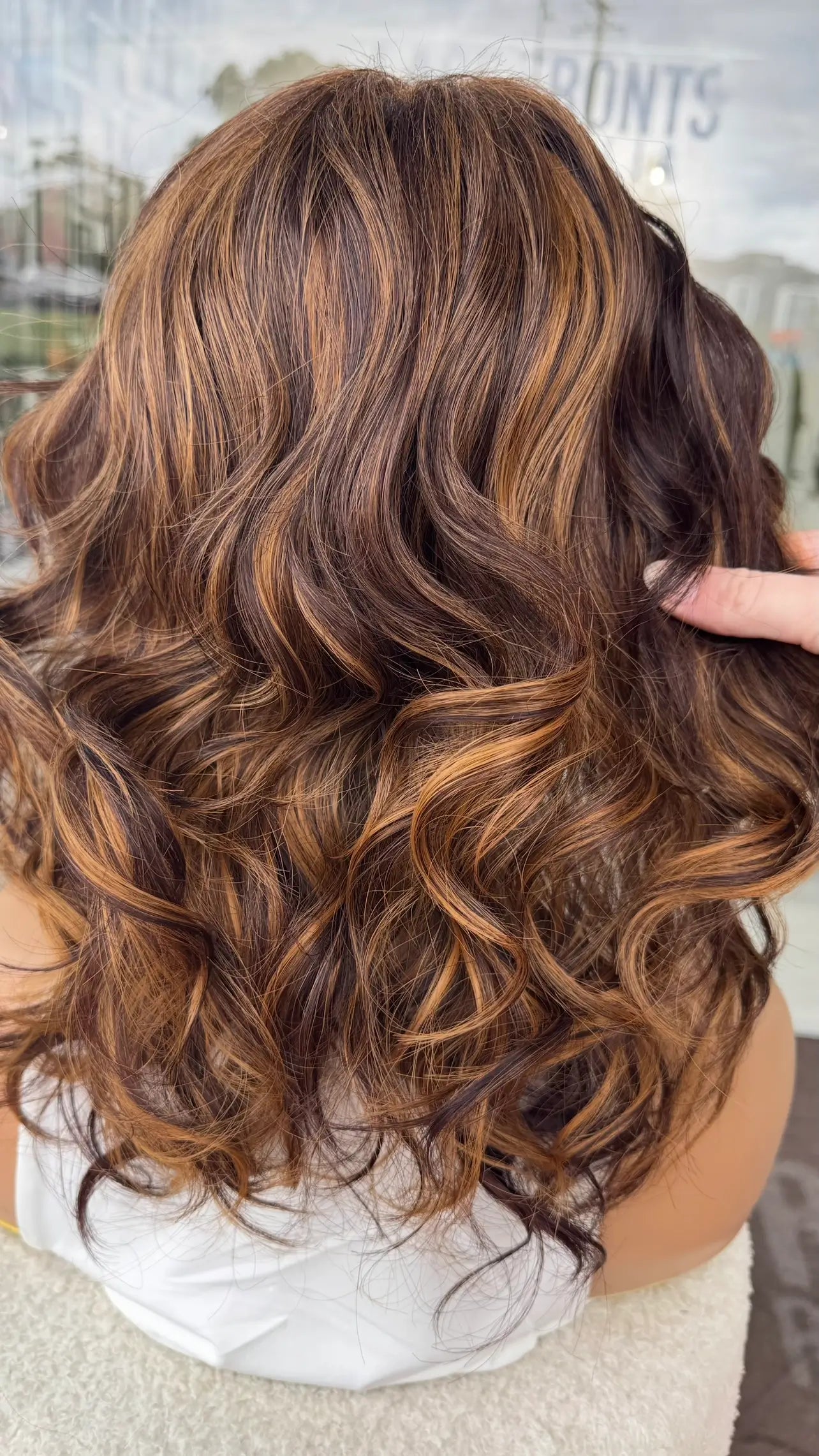 toffee highlights through warm brunette hair. curly hair being held from the back in natural lighting.