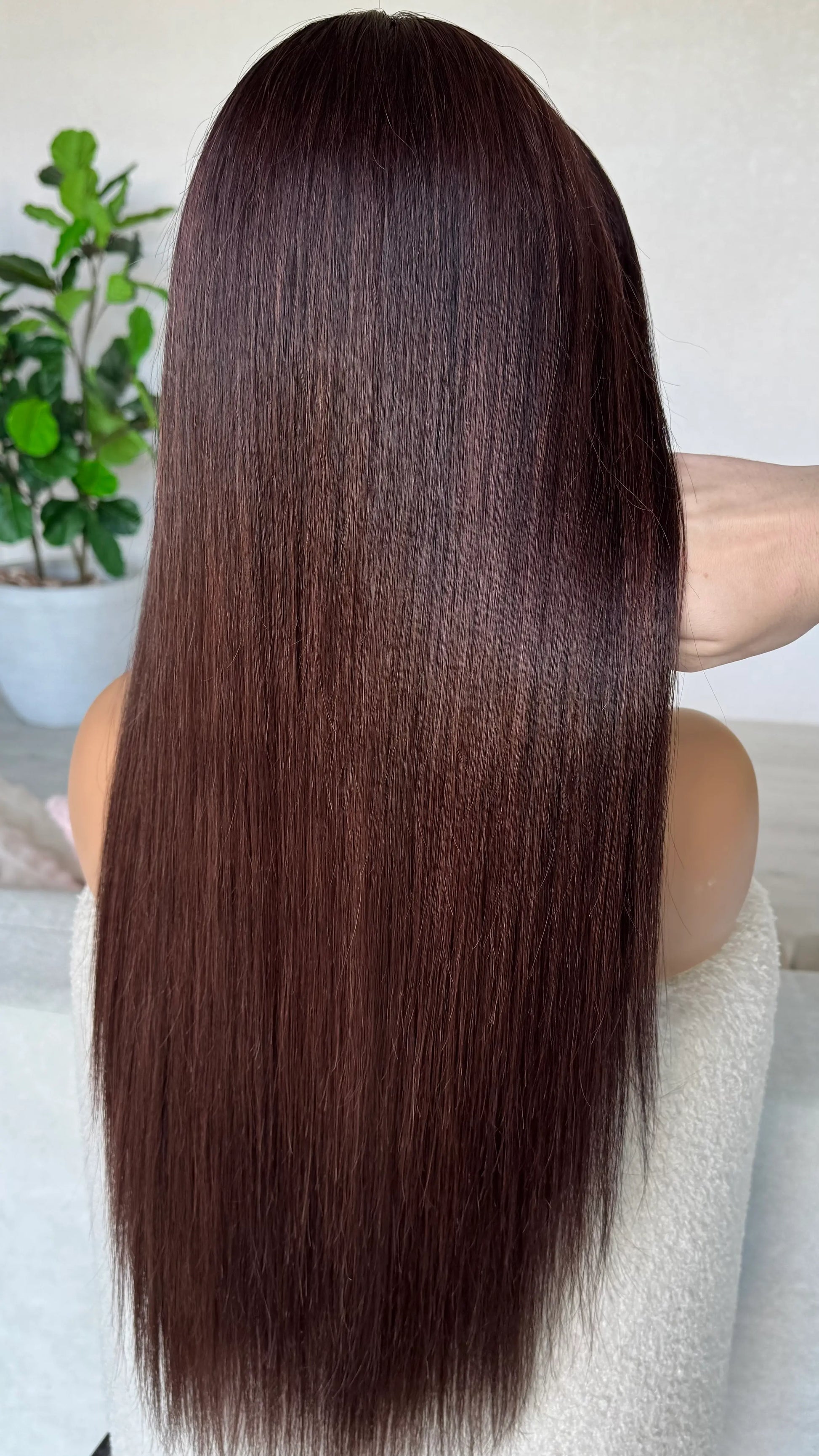 back view holding dark hair, red highlights. holding the 24 inch hair, lacefront wig natural.