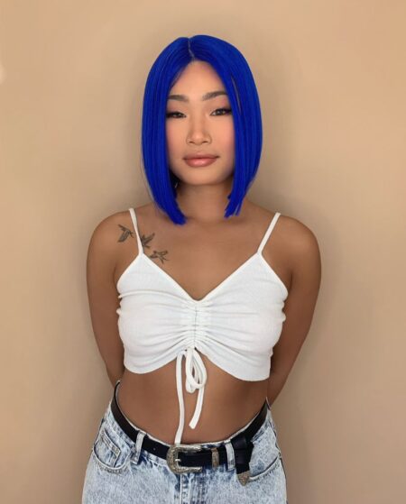 Lacefronts blue luxe synthetic lacefront bob wig blueberry faygo